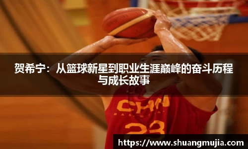 贺希宁：从篮球新星到职业生涯巅峰的奋斗历程与成长故事
